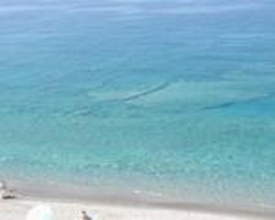 דירות ג'ויוזה מריאה Terrazza Sul Mare מראה חיצוני תמונה